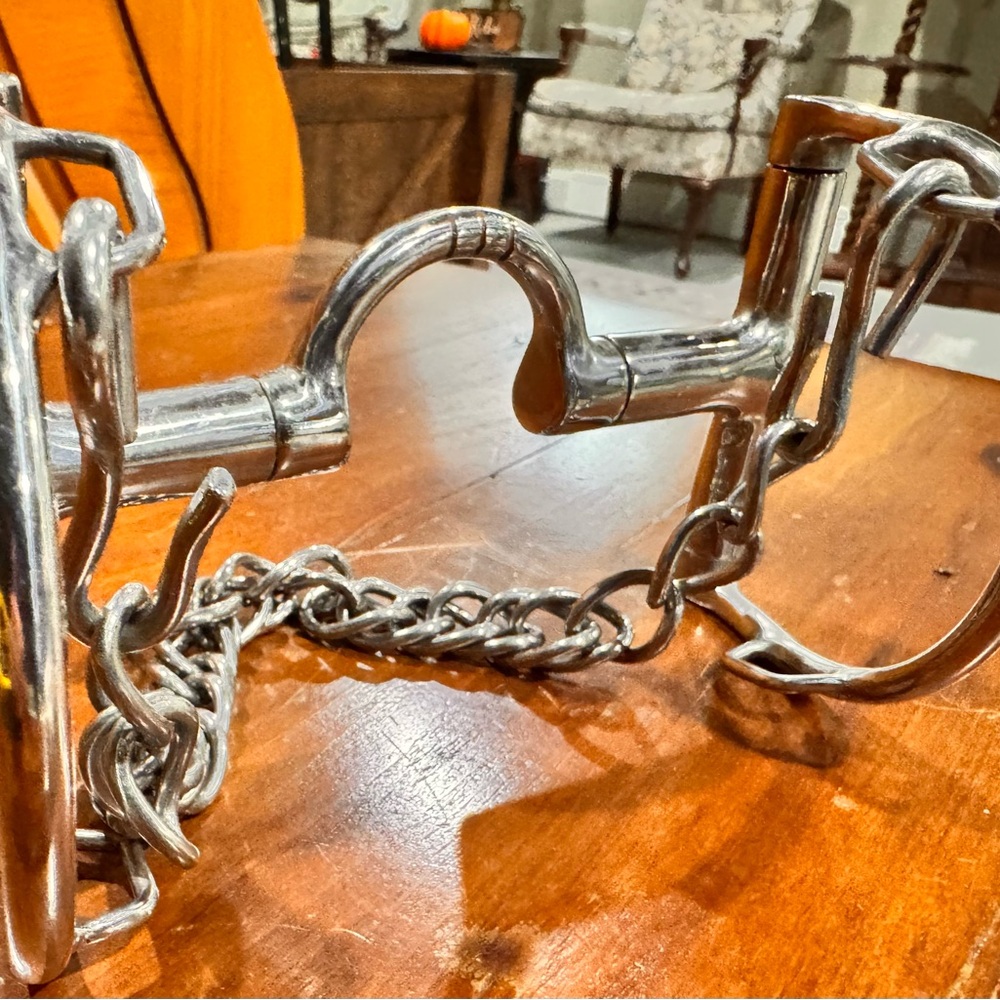 5” Robart Correction Horse Bit
